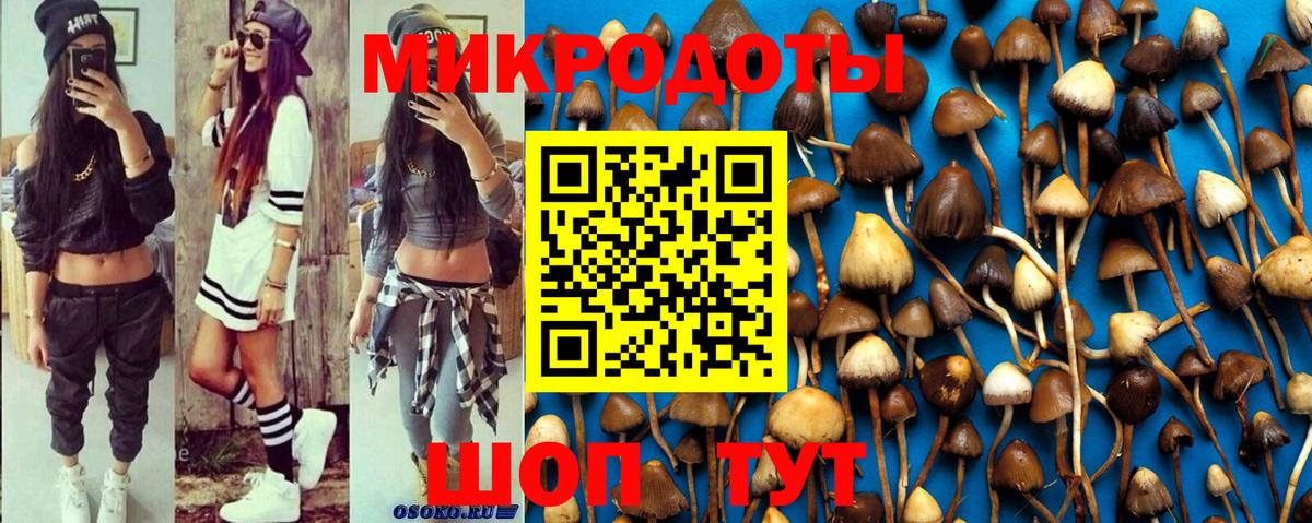 Псилоцибиновые грибы MAGIC MUSHROOMS  Галлюциногенные грибы MAGIC MUSHROOMS  Саранск  Вход с VPN 